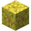 Horn Coral Block