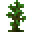Jungle Sapling