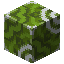 Green Glazed Terracotta