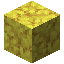 Horn Coral Block
