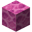 Brain Coral Block