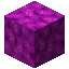 Bubble Coral Block