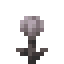Closed Eyeblossom