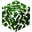 Dark Oak Leaves