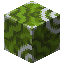 Green Glazed Terracotta
