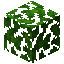 Jungle Leaves