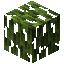 Mangrove Leaves