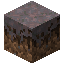 Mycelium