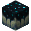 Sculk Catalyst