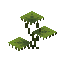 Small Dripleaf