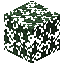 Spruce Leaves